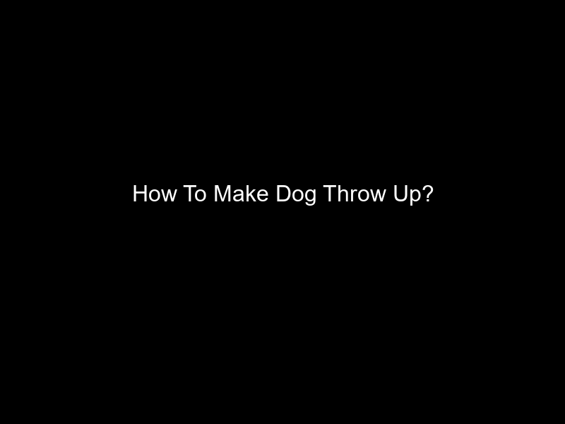 How To Make Dog Throw Up?