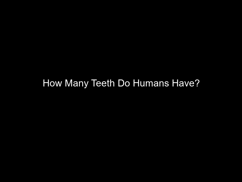 How Many Teeth Do Humans Have?