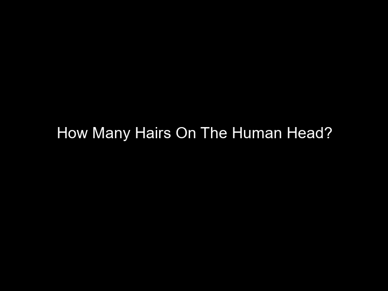 How Many Hairs On The Human Head?