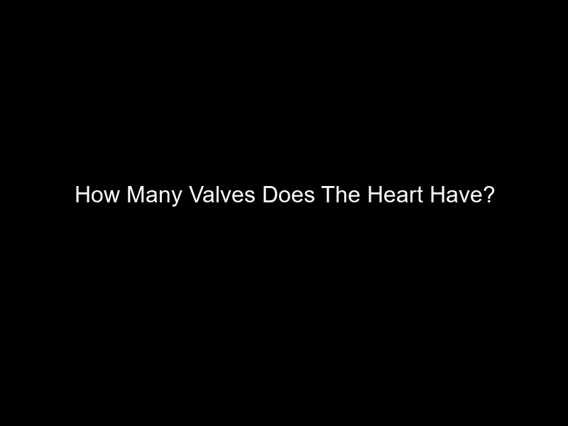 How Many Valves Does The Heart Have?