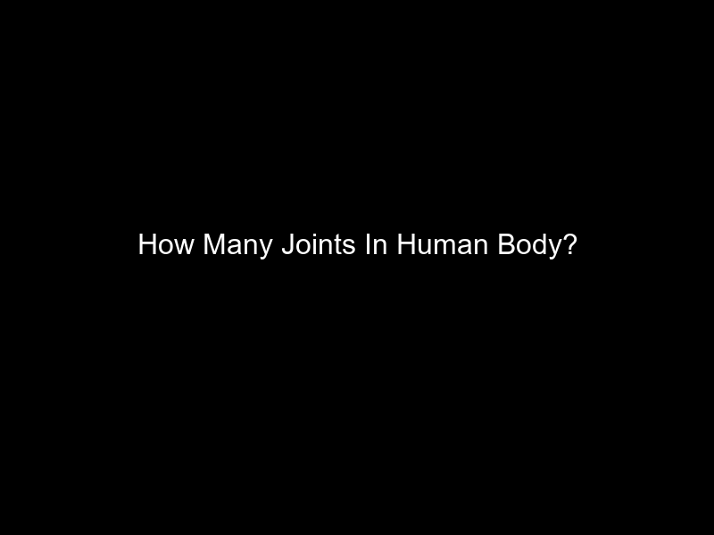 How Many Joints In Human Body?
