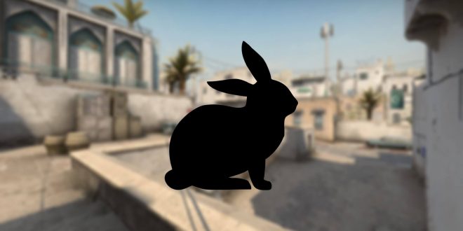 CS:GO Bunny Açma Kodu Bunny Hızlandırma Kodu