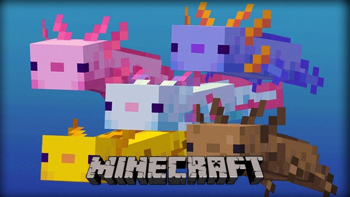 What do Axolotls Eat in Minecraft?