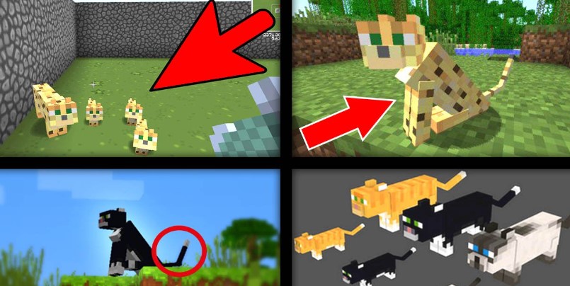 Minecraft Kedi Nasıl Evcilleştirilir? Kedi Evcilleştirme Rehberi 2024