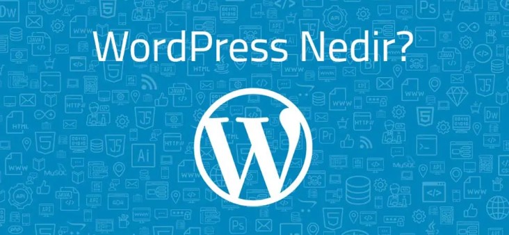Wordpress Nedir? Wordpress ile Neler Yapılabilir?