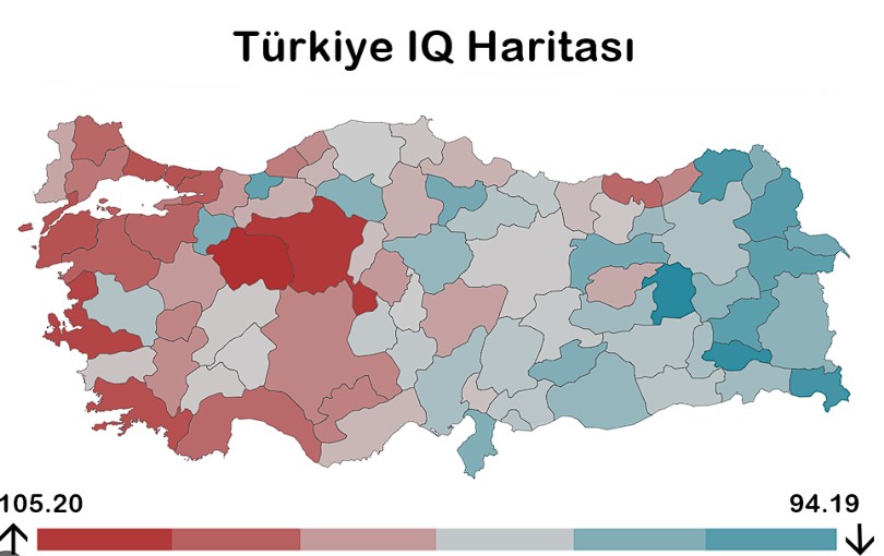 Türkiye IQ Ortalaması Kaçtır? 2024